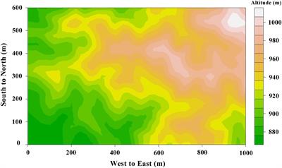 Spatial heterogeneity and influence mechanisms on soil respiration in an old-growth tropical montane rainforest with complex terrain